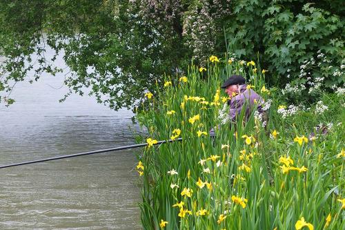 Brickyard Fishery Ripon