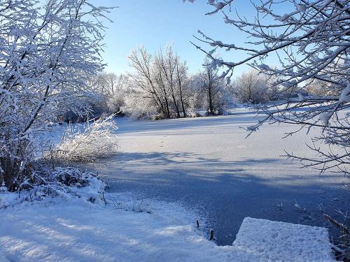 Winter at Brickyard Fishery Ripon