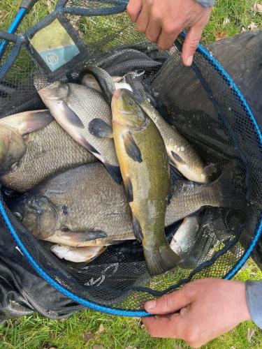 35D61548-B98E-4477-9F81-32042384BCB2