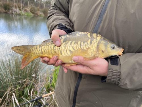 C879FBBA-6024-4A40-B757-22A2021349A5