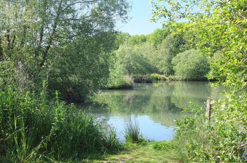Lakes at Brickyard Fishery Ripon