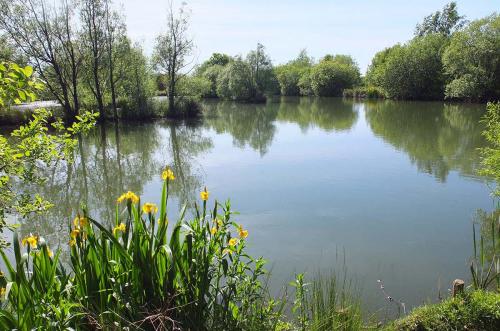 Lakes at Brickyard Fishery Ripon