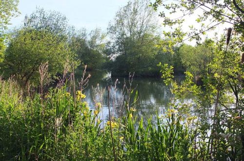 Lakes at Brickyard Fishery Ripon