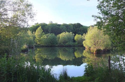 Lakes at Brickyard Fishery Ripon