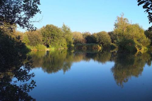 Lakes at Brickyard Fishery Ripon