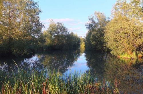 Lakes at Brickyard Fishery Ripon